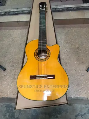 Professional Classical Acoustic Guitar
