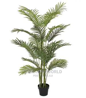 Palm Plant and Vase