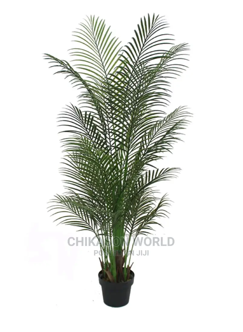 Palm Plant and Vase