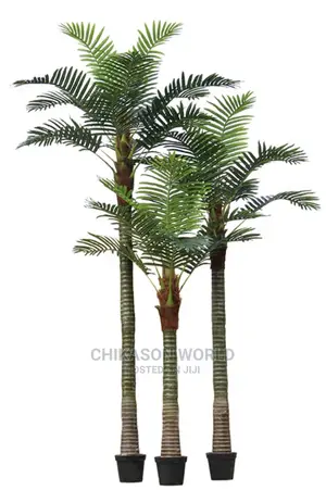 Palm Plant and Vase