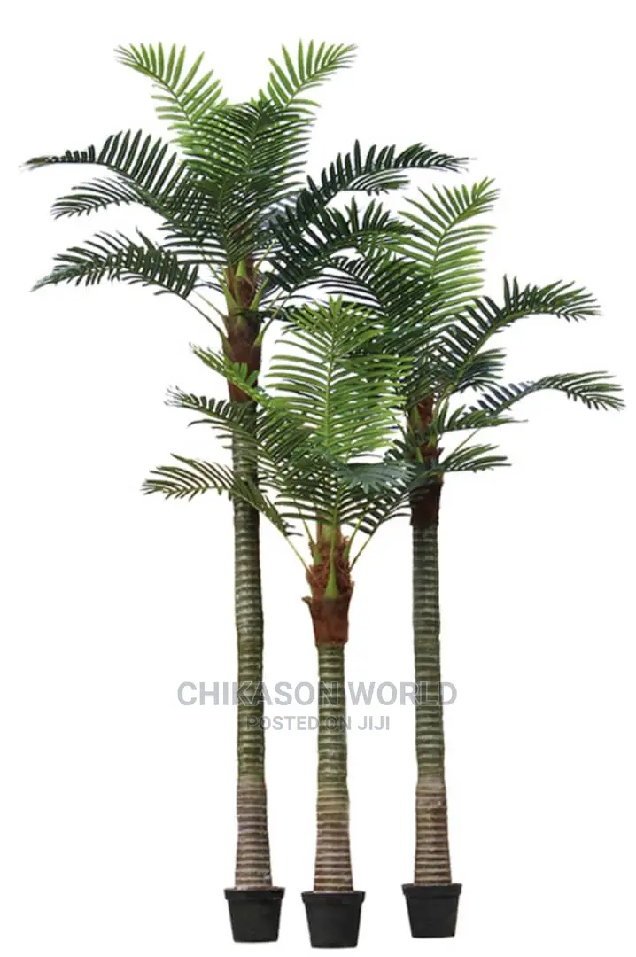 Palm Plant and Vase