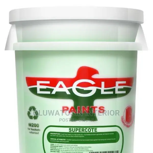 Eagle Paint