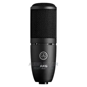AKG P120 Studio Condenser Microphone