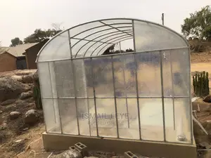 Tomatoes and Beans Green House Dryer