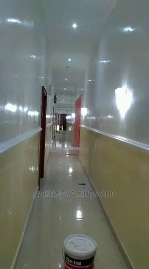 Super Glassy Wall Paints