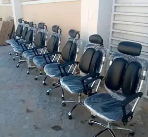Office Chair (Orthopedic)
