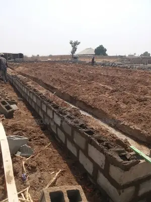 We Build Poultry Pen With Imported Cages All for ₦40M
