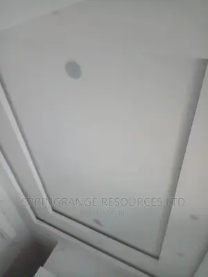 Professional POP Ceiling Installer