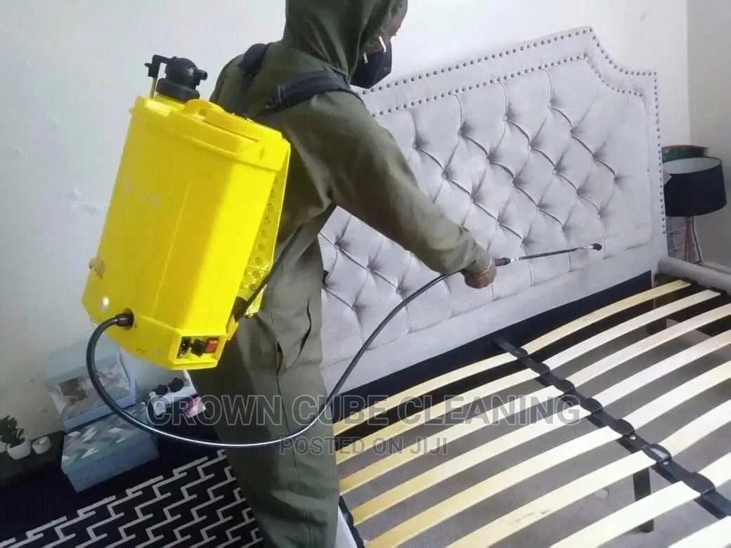 Best Fumigation Experts