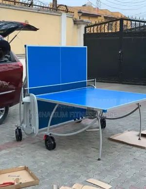 American Fitnes Table Tennis Waterproof 669