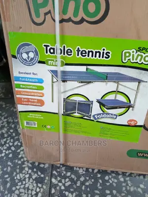 Kids Ping Pong Table