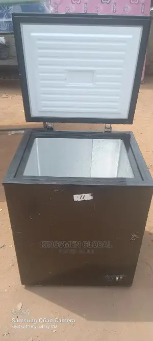 Medium Chest Freezer for Frozen Food