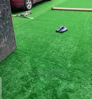 Best Synthetic Grass