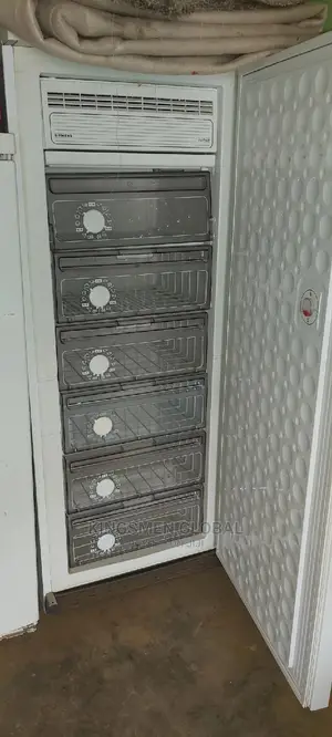 Siemens Standing Freezer