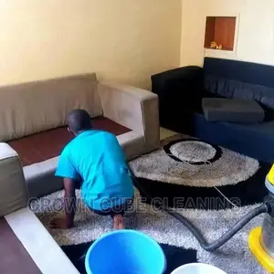 Rug, Chair and Carpet Cleaning