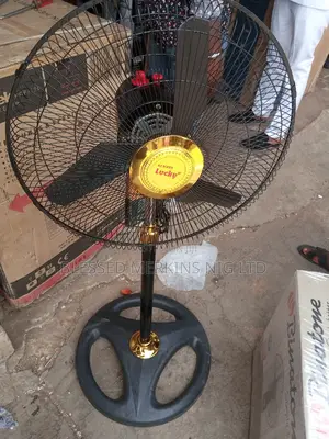 Lucky Standing Fan 18"