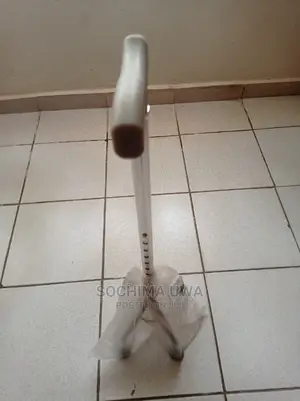 Walking Stick With Support