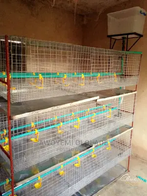 Day Hold Cage for Chicken