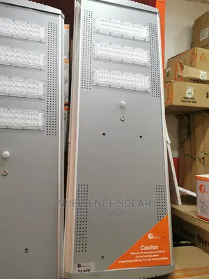 P2 60w Felicity All in One Solar Street Light