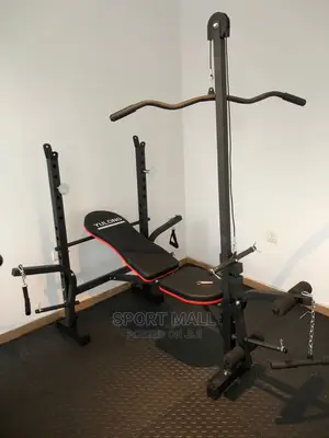 Weight Lifting Bench With Lat Pole