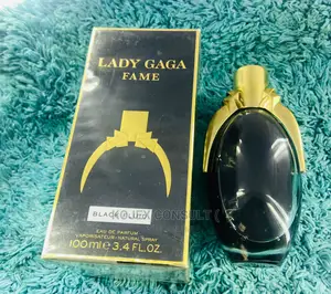 Lady Gaga Fame