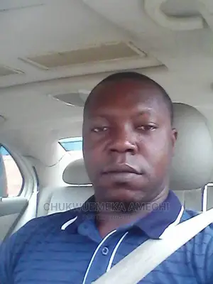 Do You Need a Part Time Professional Driver?