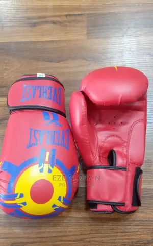 Good Quality Everlast Boxing Glove