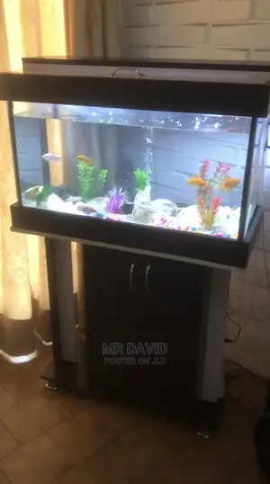 Well Furnished Aqaurium