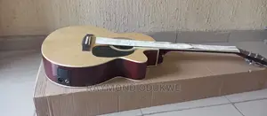 Professional Electric Acoustic Guitar
