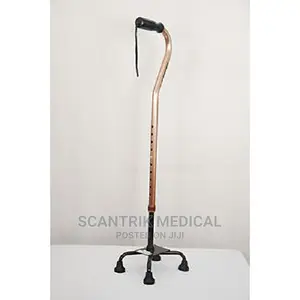 Stainless Steel and Plastic 4 Leg Walking Stick