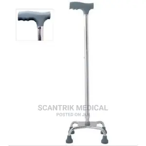Four Leg Walking Stick