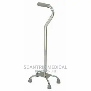 Walking Stick With Handle
