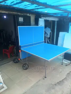 Portable Water Resistance Outdoor Table Tennis at Ejico