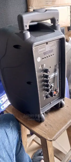 P. A System With Dual Microphone and Bluetooth Connectivity