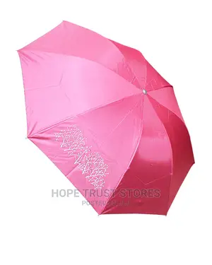 Pocket Umbrella