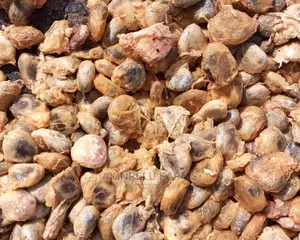 Agric Pumpkin {Ugu)Seeds.