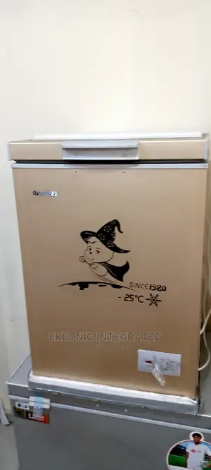 Snowsea. Chest Freezer