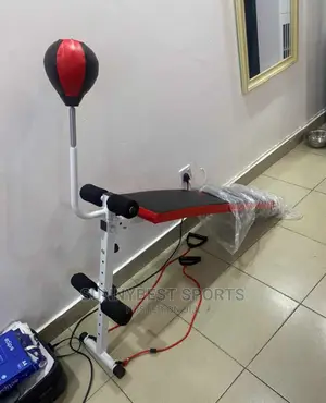 Brand New Sit-Up Bench With Speed Ball