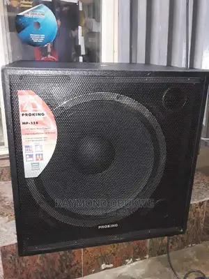 Professional 18 Inches Sub Speakers