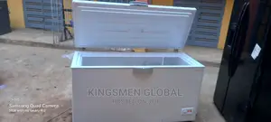 Beko Thick Body Freezer for Frozen Food Business