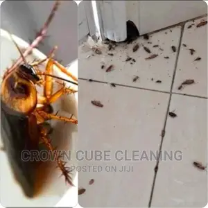 General House Fumigation Services
