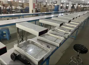 Industrial Chips Fryer