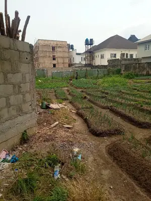Joint Venture at Ikeja
