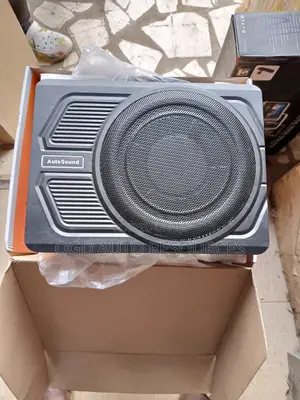 8 " Underseat Flatwoofer