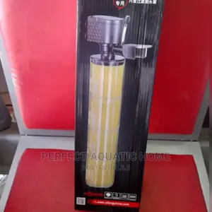 Filter Pump Double