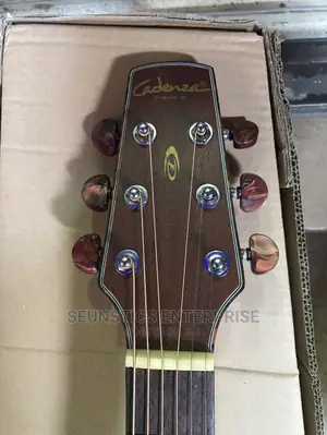 Cadenza Electro Acoustic Guitar With (Fishman Equalizer)