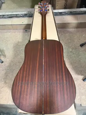 Cadenza Electro Acoustic Guitar With (Fishman Equalizer)