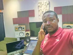 Professional Sound Engineer