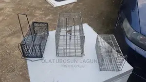 Mouse and Rat Traps