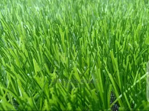 Football Grass